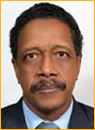 sudan-Hazim Abdegadir Ahmed Babiker.jpg