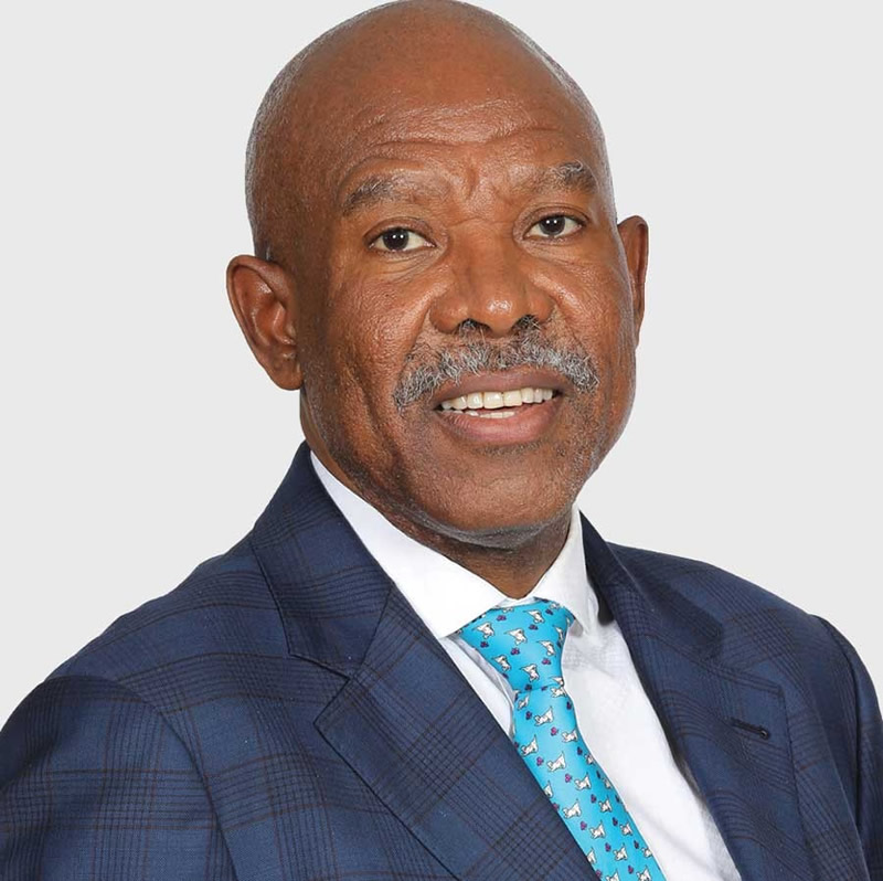 Mr Lesetja Kganyago