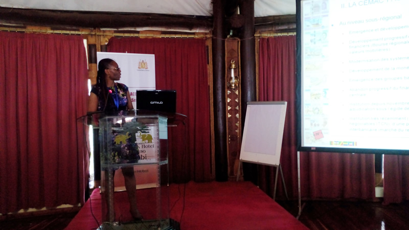 Presentation by Ms Arlette Flore Belabout-Otam, representative of the Banque des Etats de l’Afrique Centrale (BEAC)