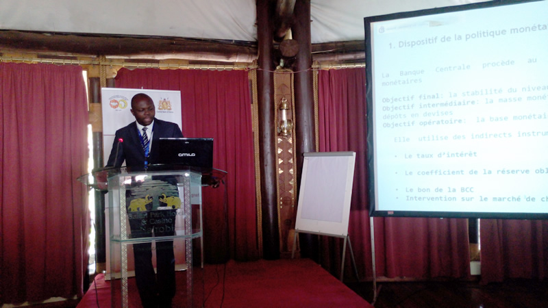 Presentation by Mr. Alain Lumuna Difumba, representative of the Banque Centrale du Congo